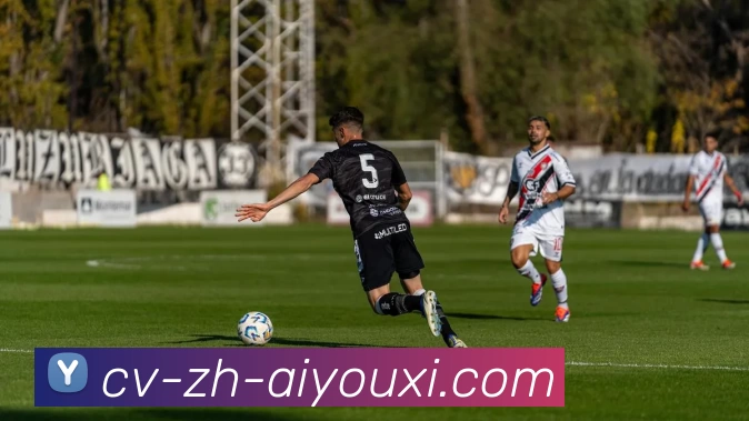 爱游戏品牌故事