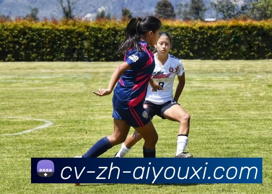 爱游戏服务体系